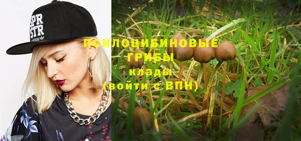 каннабис Алзамай