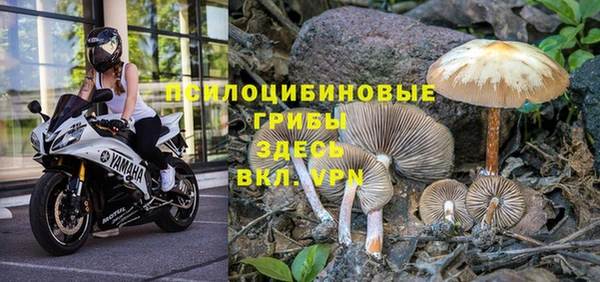 каннабис Алексин